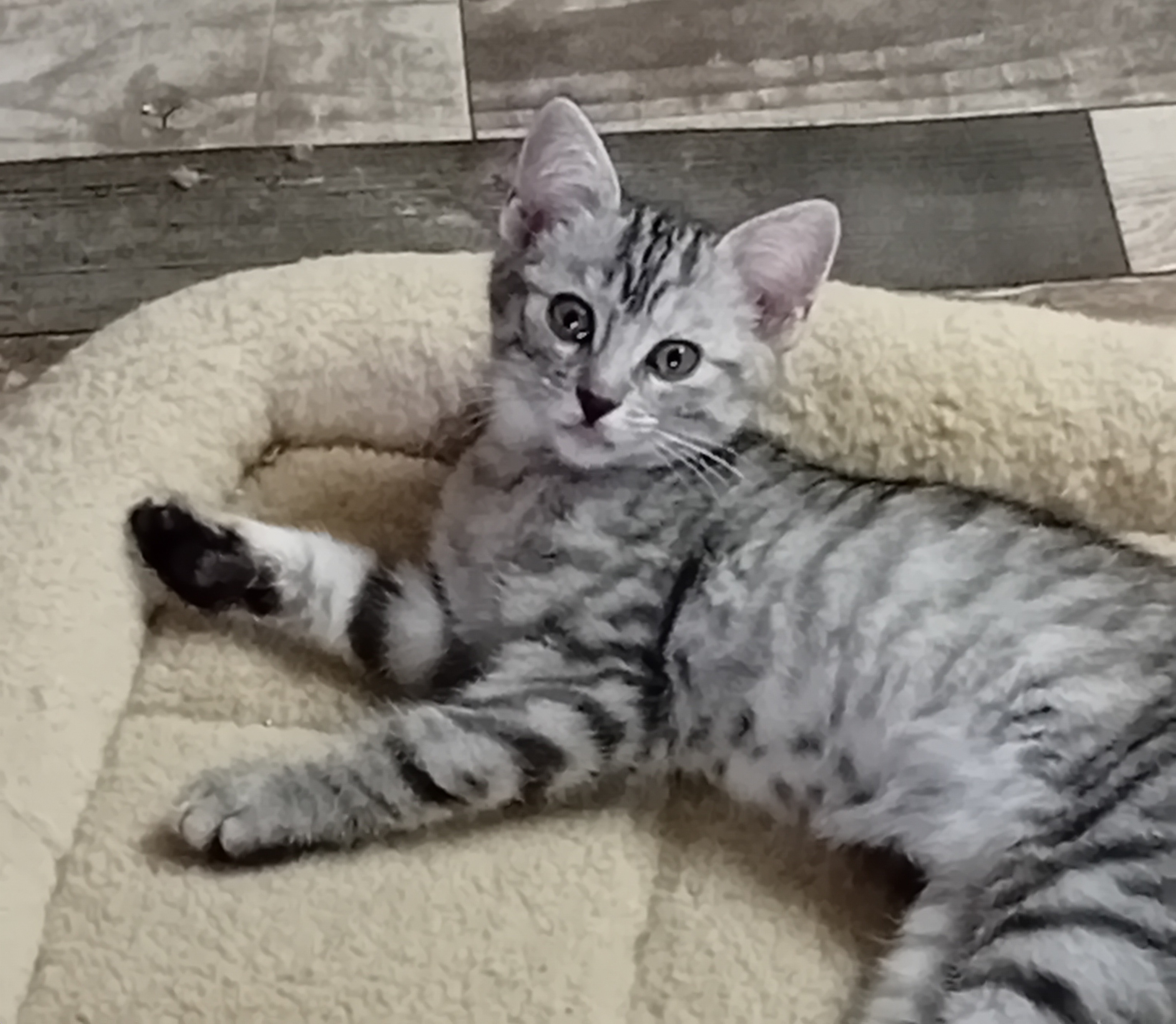 Silver